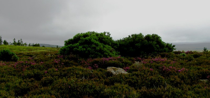 Image of Carn Bad A’Churaich (Cairn(s)) by drewbhoy