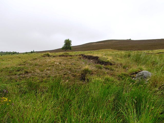 Image of Neavuie (Burnt Mound / Fulacht Fia) by drewbhoy