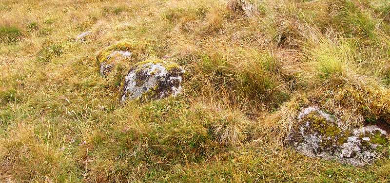 Image of Laggan Hill (Kerb) (Kerbed Cairn) by drewbhoy