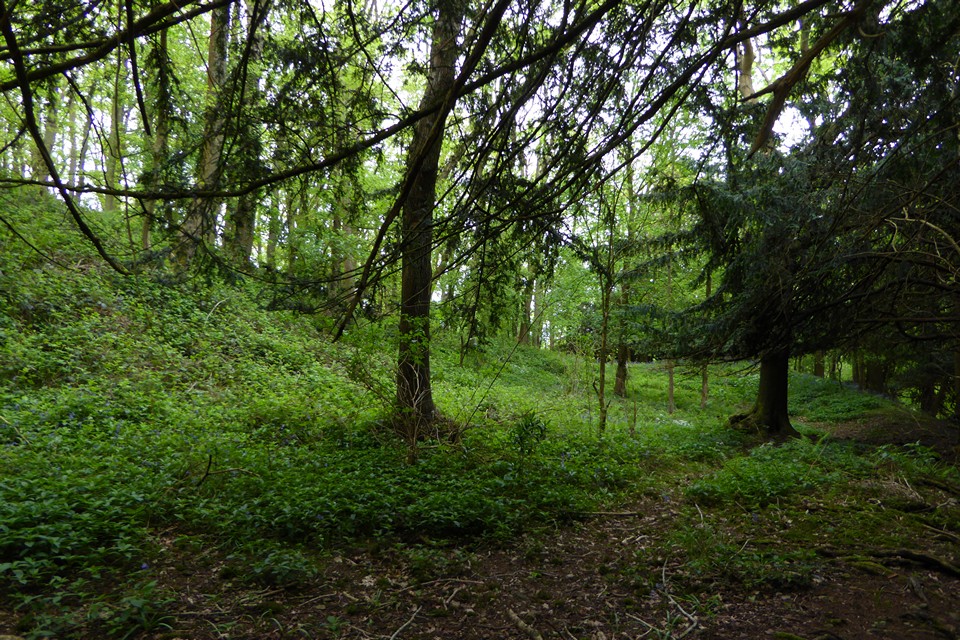 Image of Cherry Hill Camp (Hillfort) by thesweetcheat