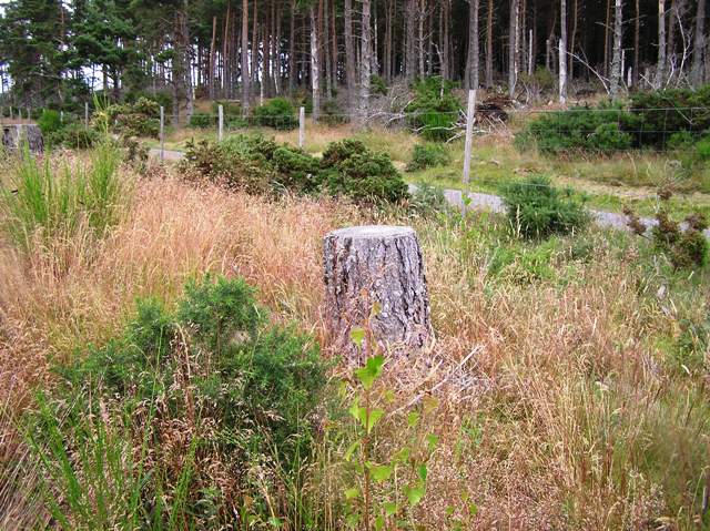 Image of Cantraydoune (Cairn(s)) by drewbhoy
