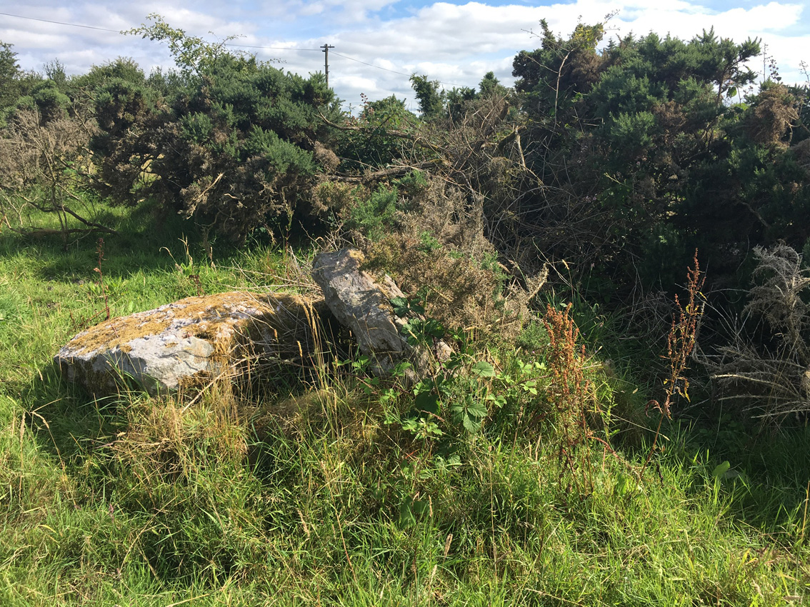 Image of Castlequarter (Wedge Tomb) by ryaner