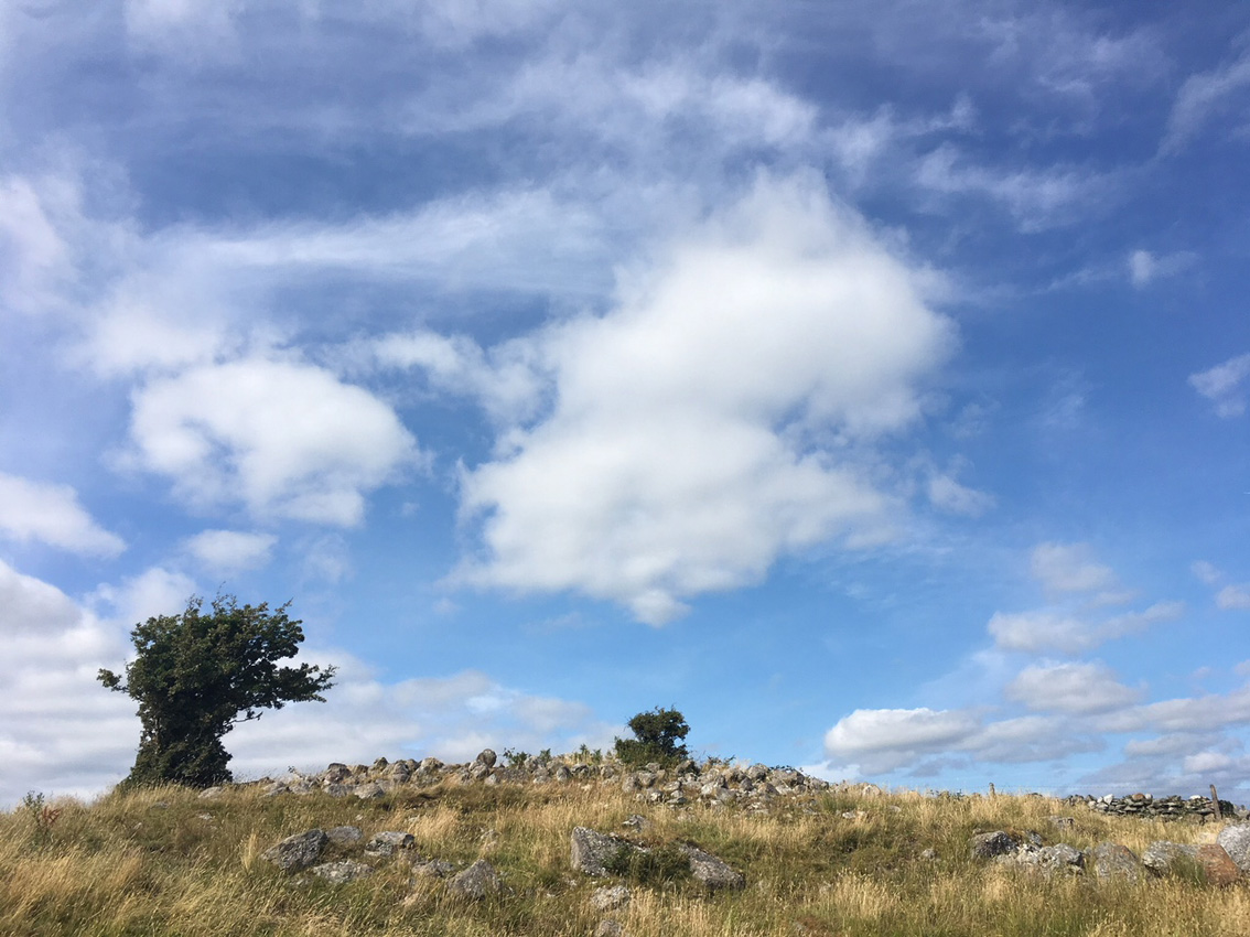 Image of Flaskagh More (Court Tomb) by ryaner