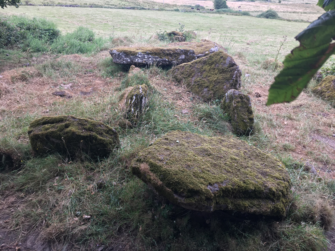 Image of Lisduff (Wedge Tomb) by ryaner