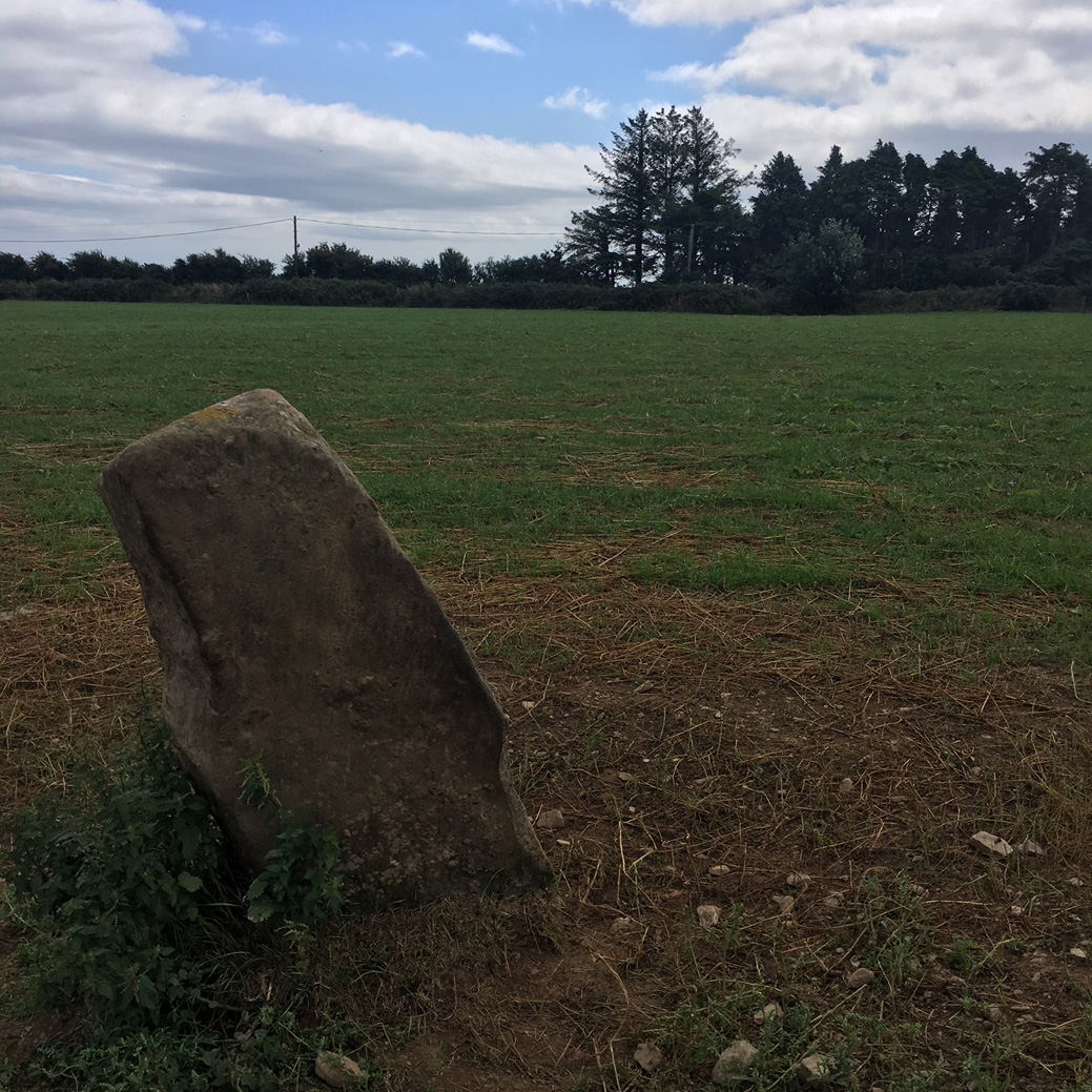 Image of Sheshkin (near Stradbally) (Standing Stone / Menhir) by ryaner