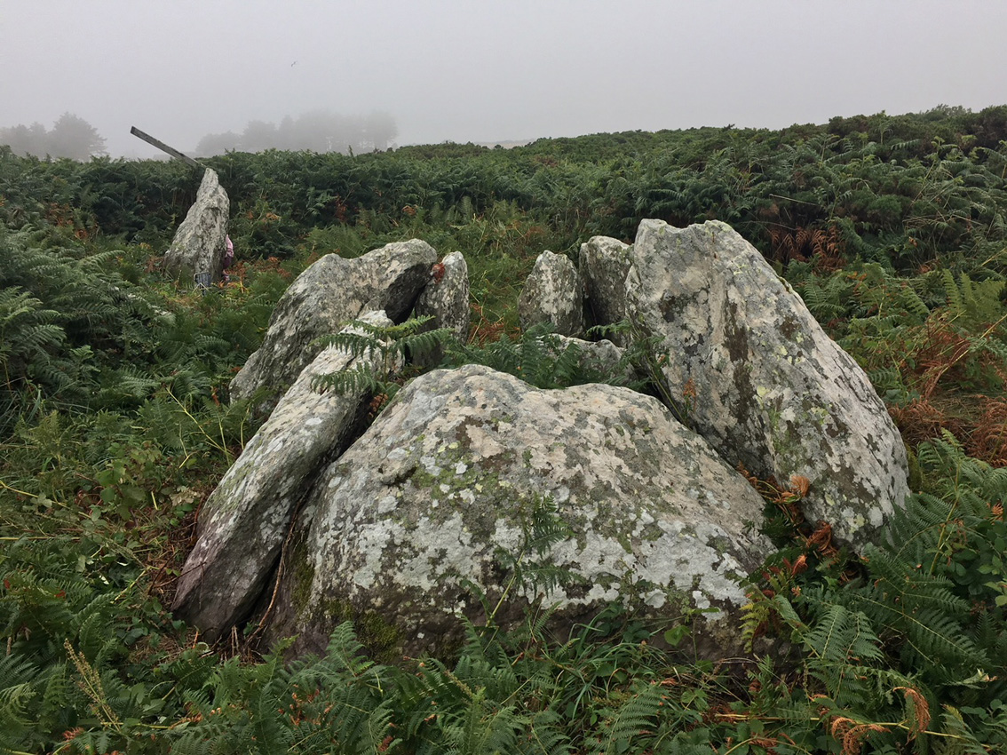 Image of Ballynamona Lower (Court Tomb) by ryaner