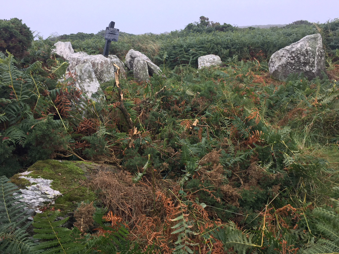 Image of Ballynamona Lower (Court Tomb) by ryaner