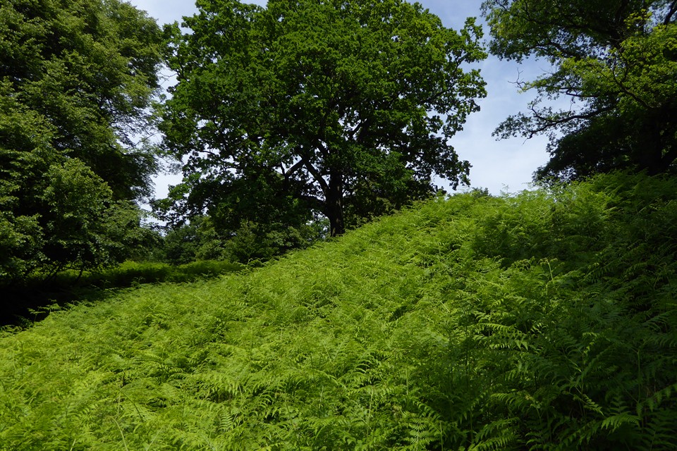 Image of Camp Hill (Aylburton) (Hillfort) by thesweetcheat