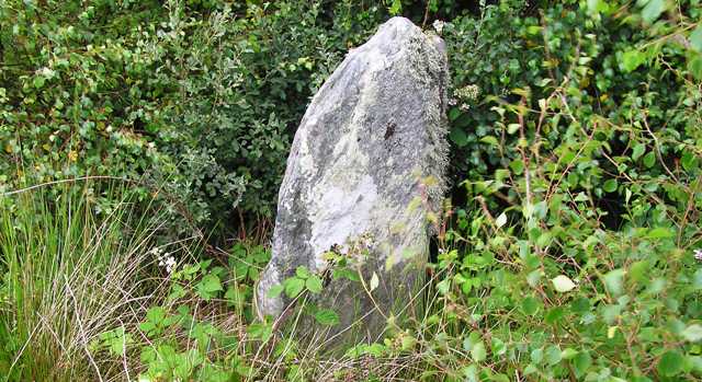 Image of Knockrome 3 (Standing Stone / Menhir) by drewbhoy