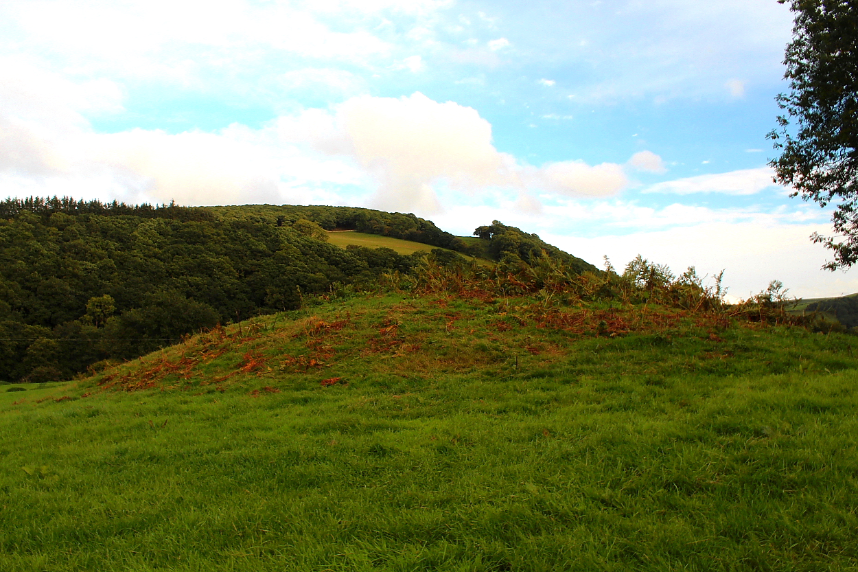 Image of Fedw Llwyd (Round Barrow(s)) by GLADMAN