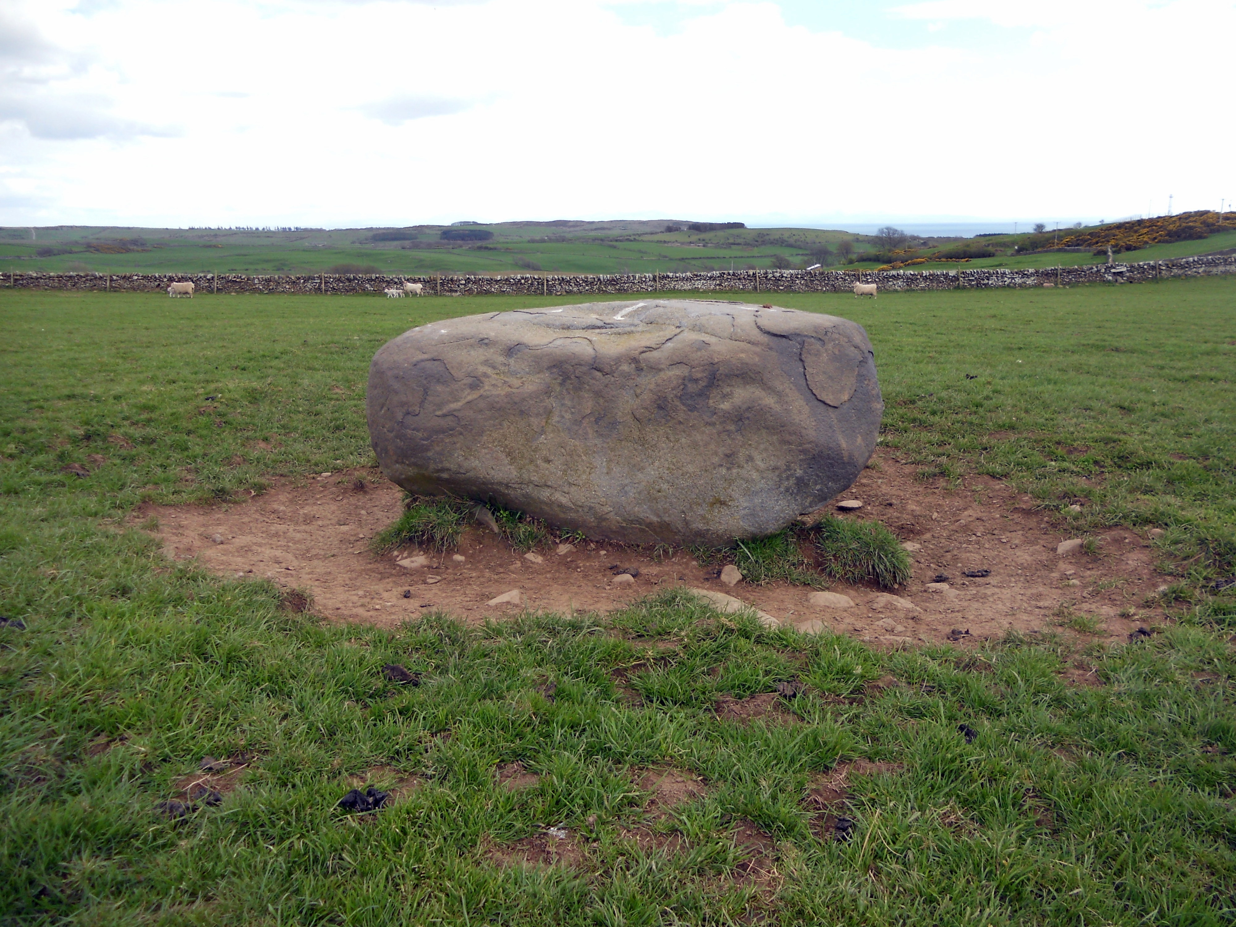 Image of Drummore (Stone Circle) by markj99