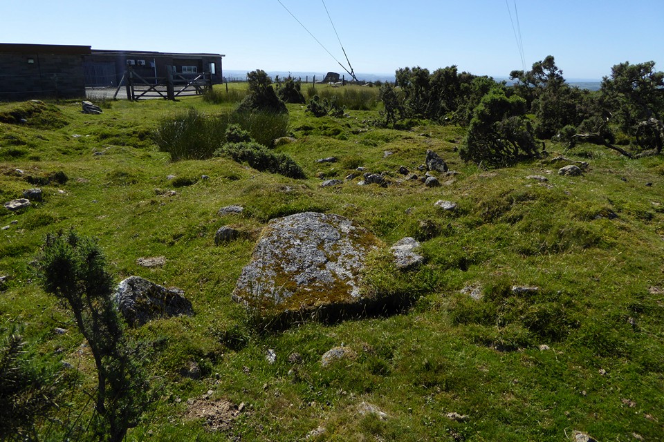 Image of Caradon Hill (northern group) (Barrow / Cairn Cemetery) by thesweetcheat