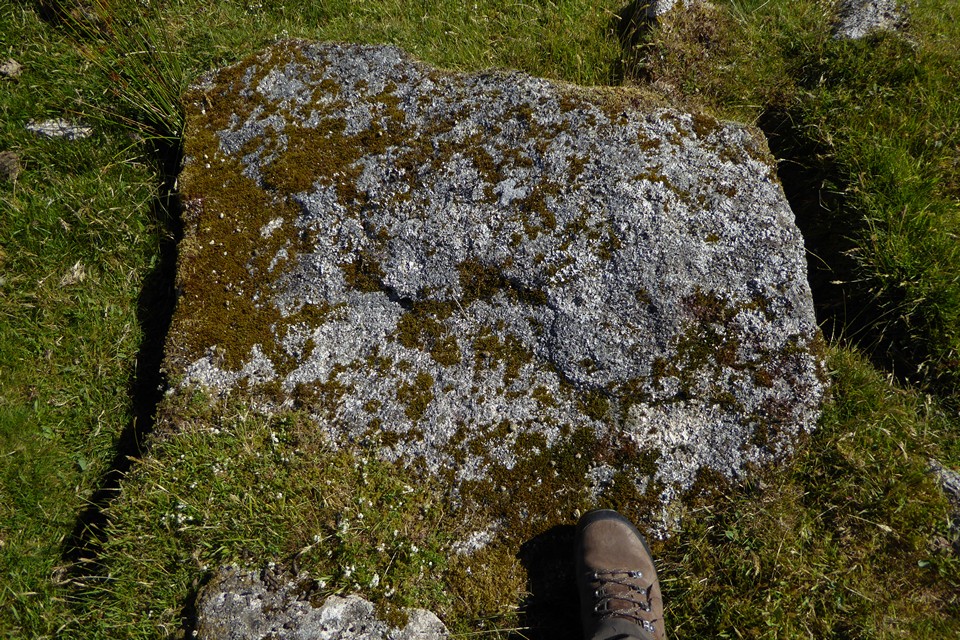 Image of Caradon Hill (northern group) (Barrow / Cairn Cemetery) by thesweetcheat