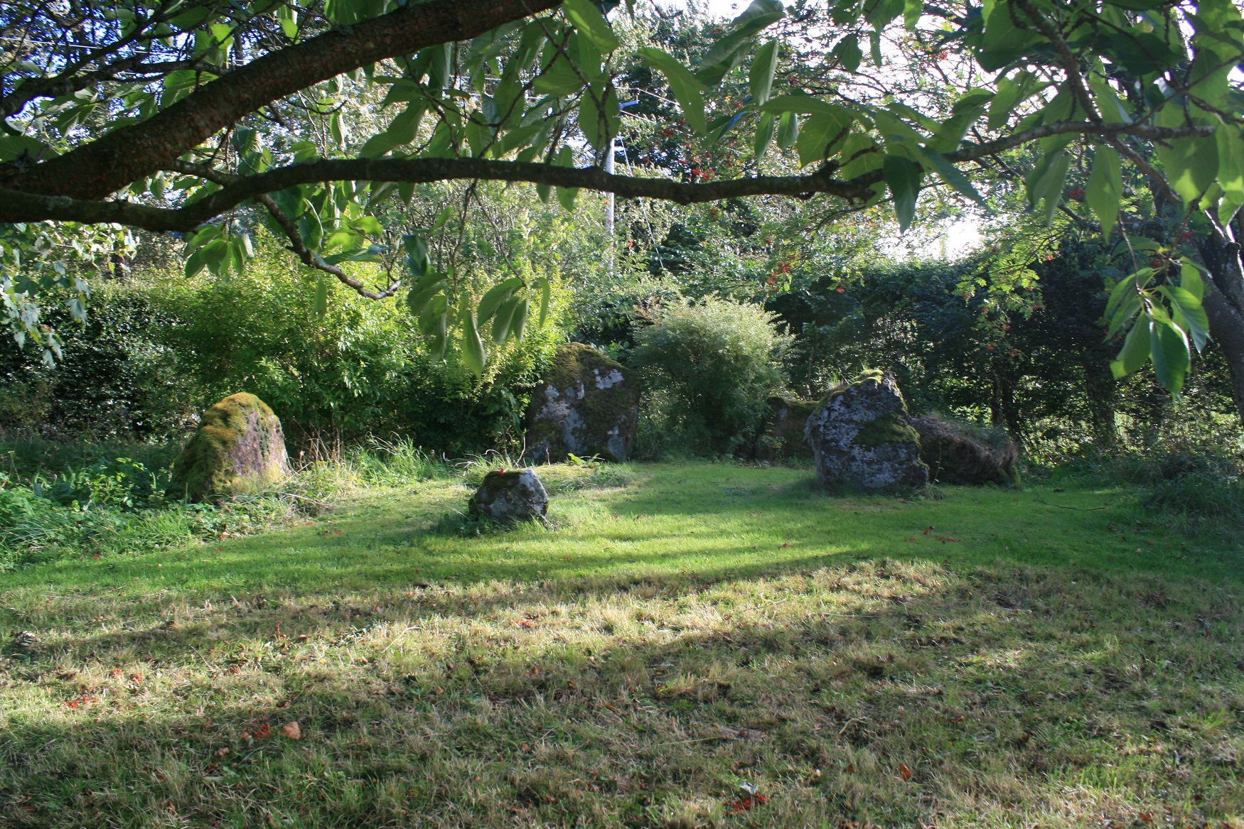 Image of Old Harestanes (Stone Circle) by postman