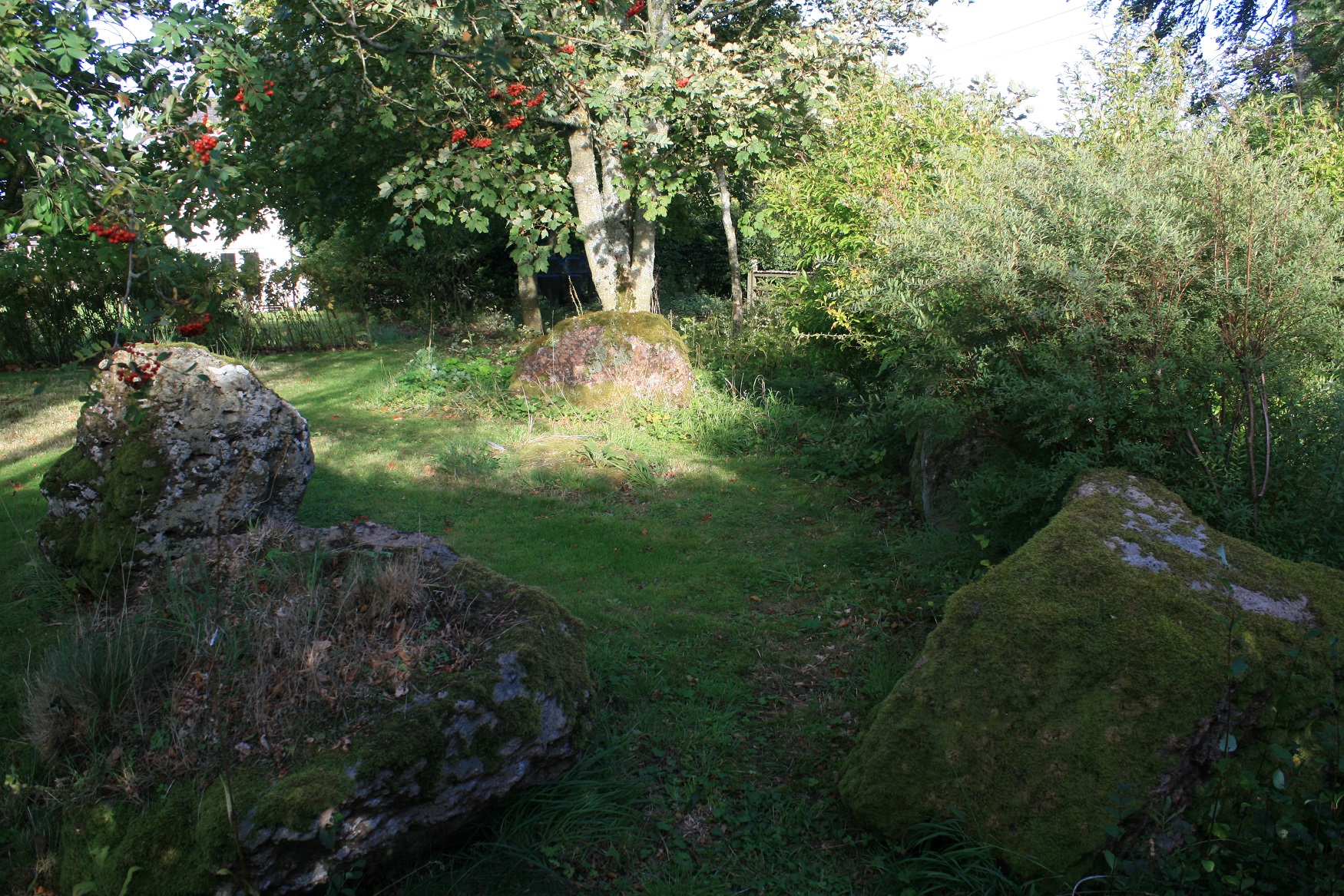 Image of Old Harestanes (Stone Circle) by postman