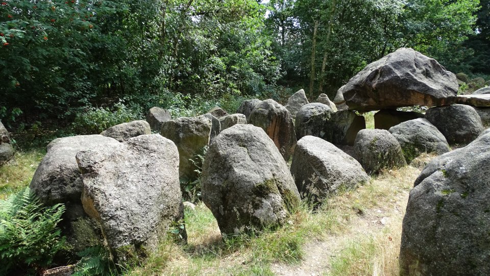 Image of Kleinenknetener Steine 2 (Passage Grave) by Nucleus