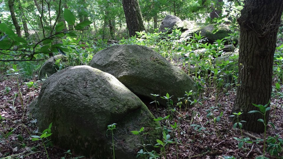 Image of Holzhauser Kellersteine 1 (Passage Grave) by Nucleus