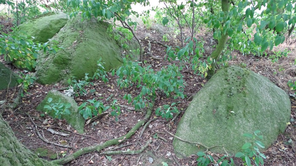 Image of Groß Berßen 10 (Chambered Tomb) by Nucleus