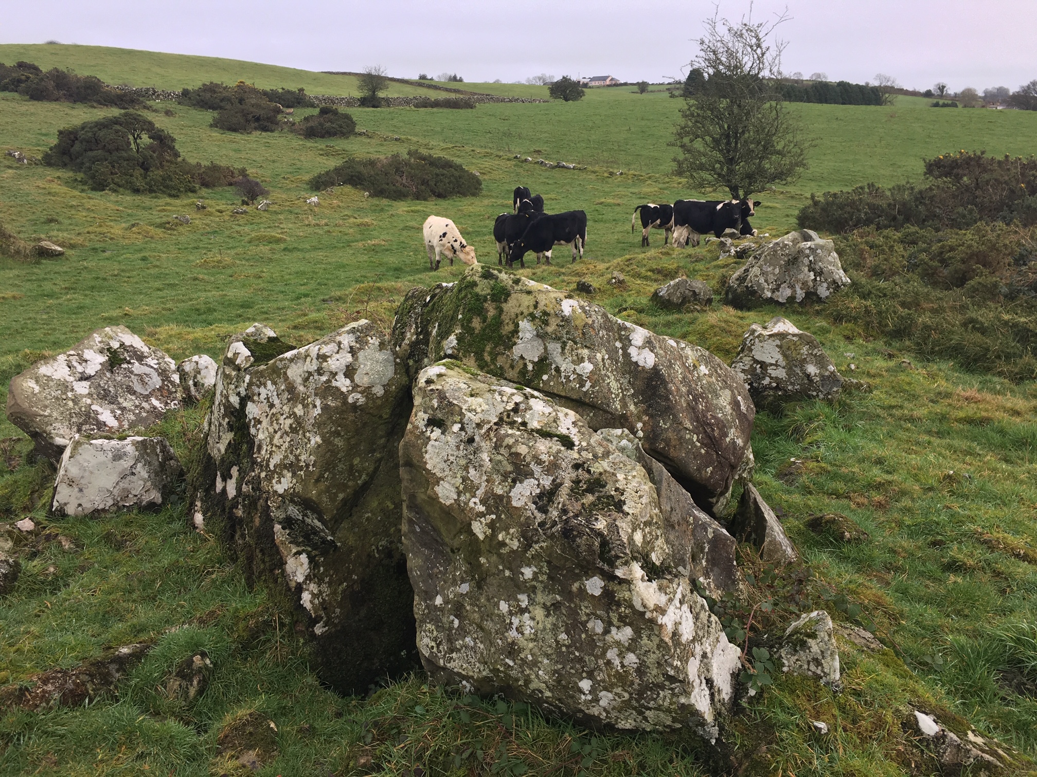 Image of Cornaville North (Court Tomb) by ryaner
