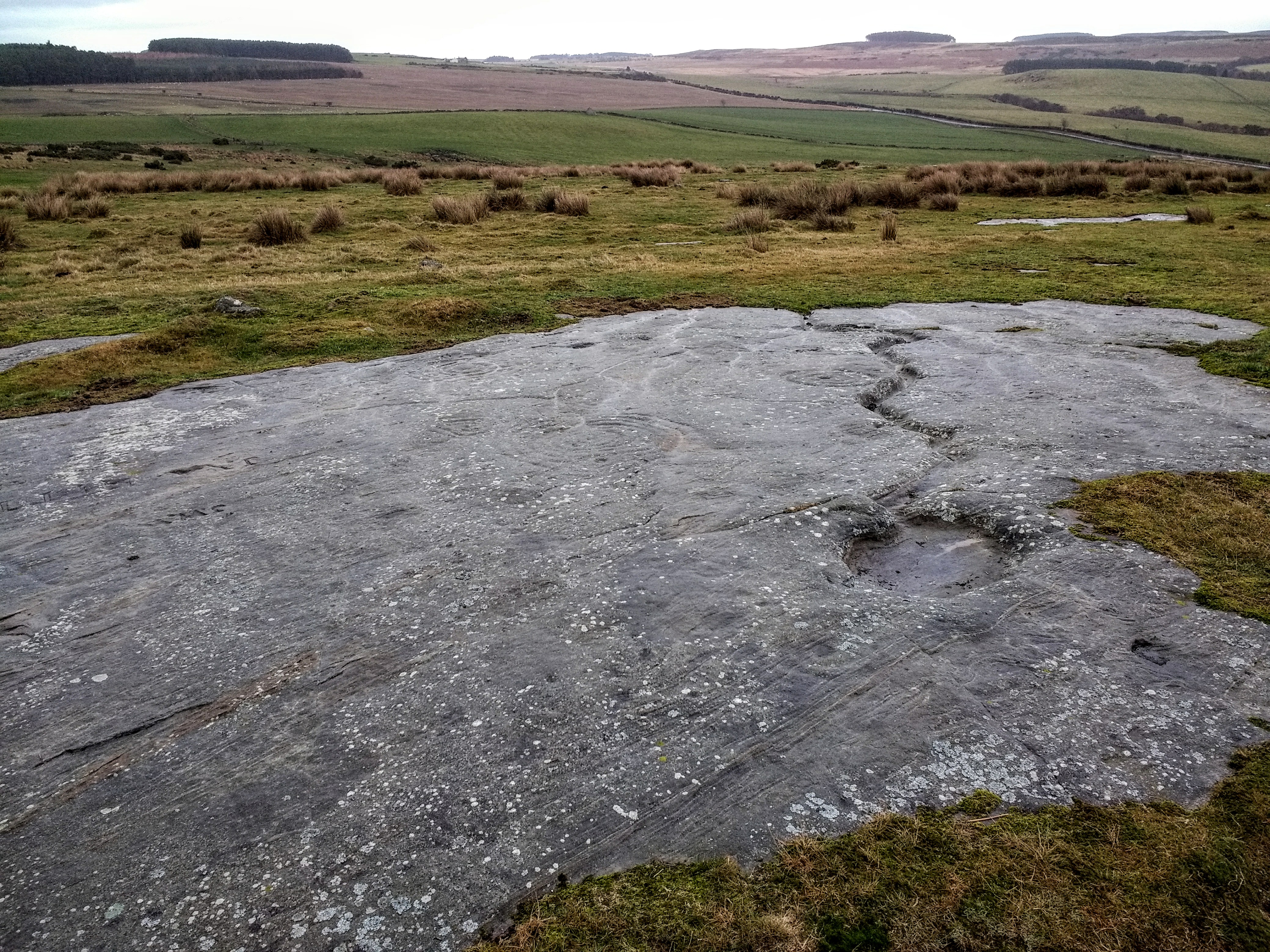 Image of Chatton (Cup and Ring Marks / Rock Art) by spencer