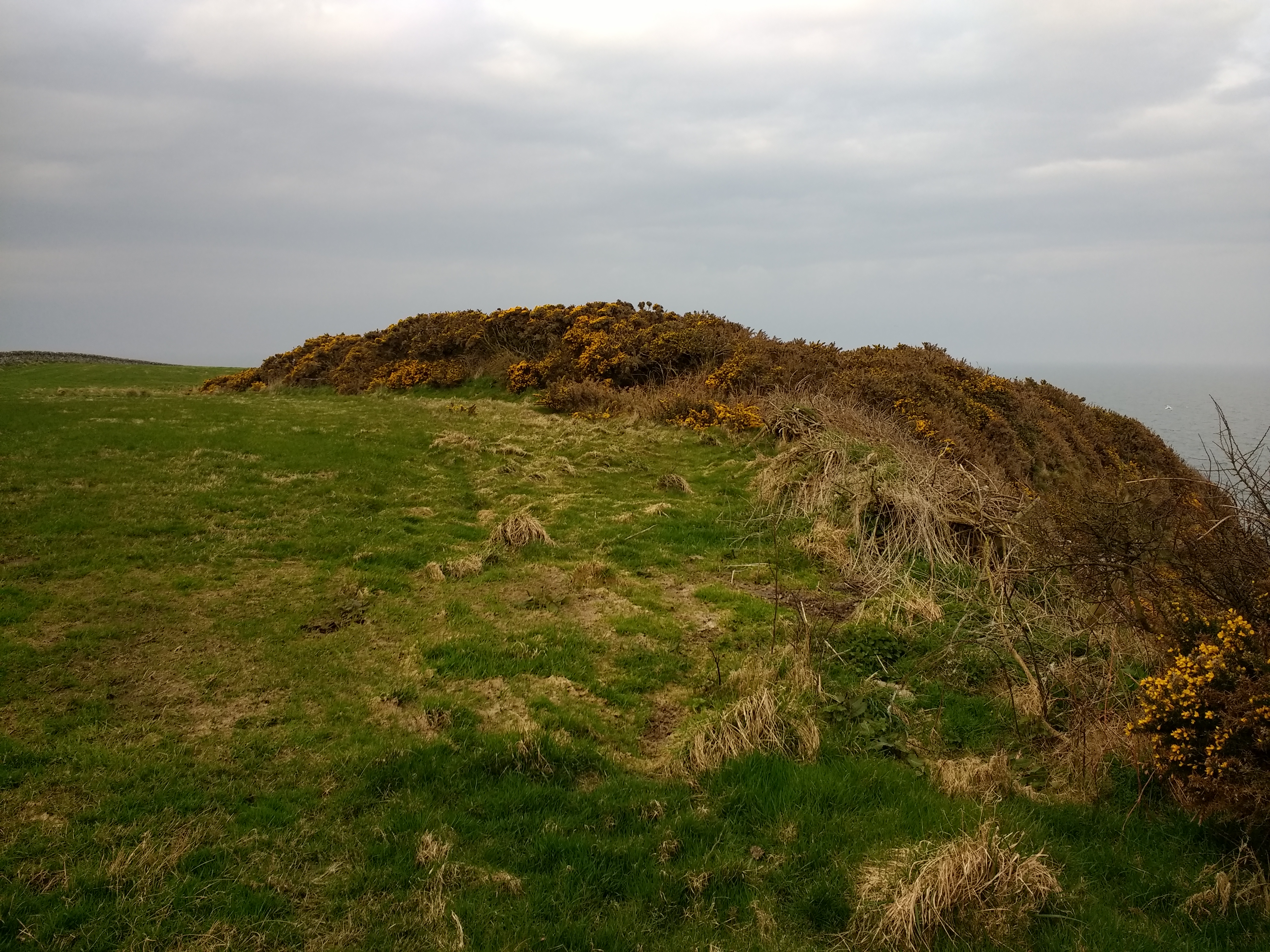 Image of Steinhead Mote (Promontory Fort) by spencer