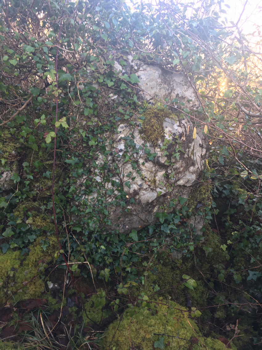 Image of Menlough (Portal Tomb) by ryaner