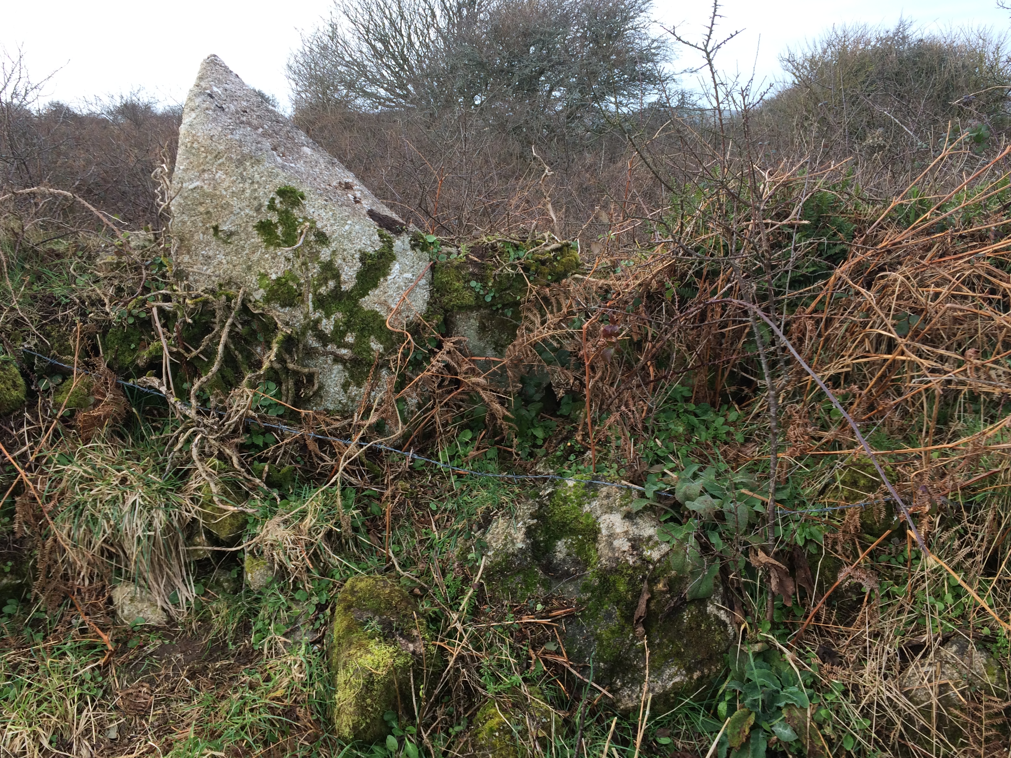 Image of Castallack Round (Ancient Village / Settlement / Misc. Earthwork) by markj99