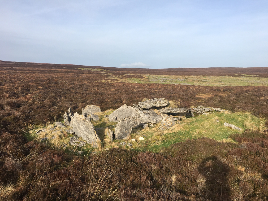 Image of Aghamore (Wedge Tomb) by ryaner