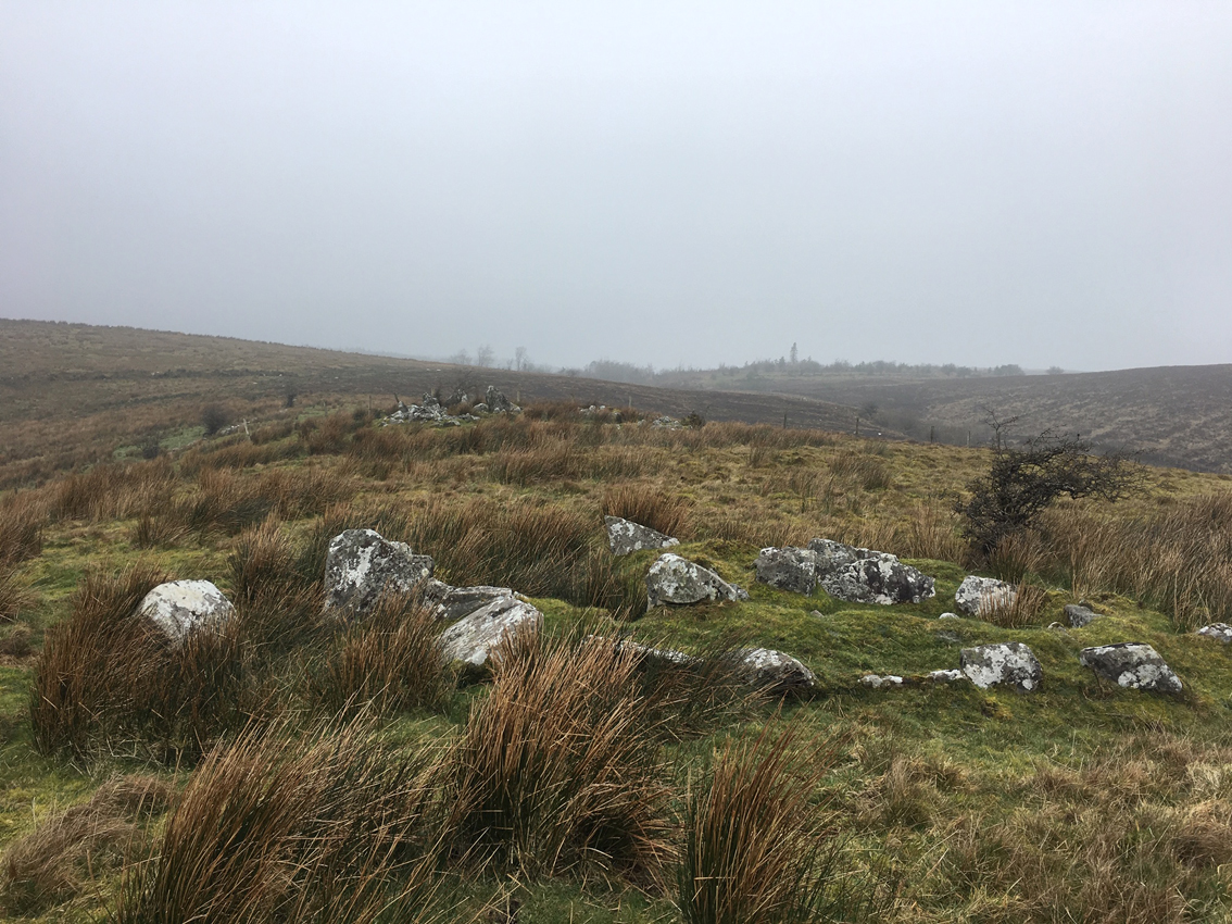 Image of Legalough (Wedge Tomb) by ryaner