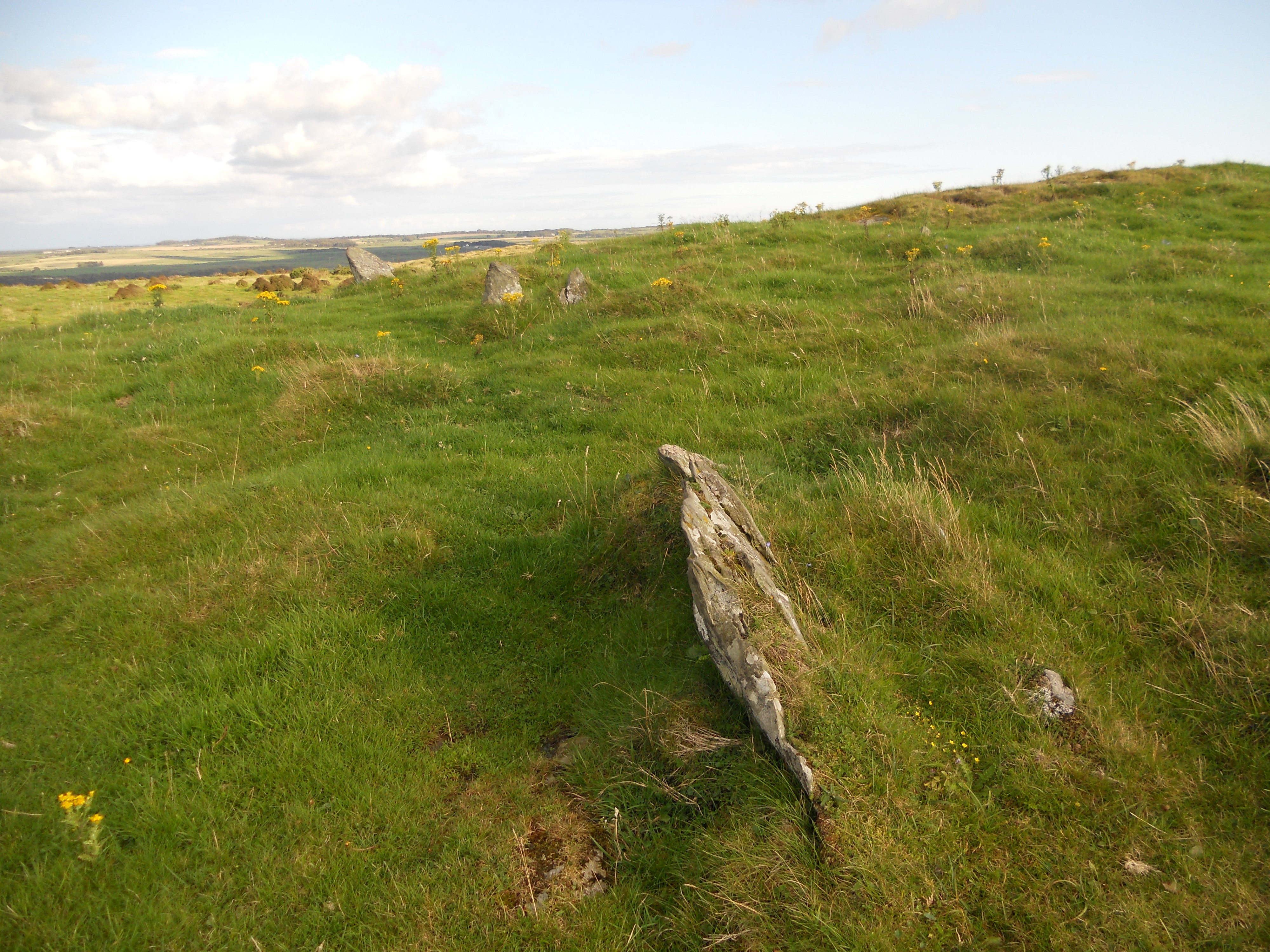 Image of Fell of Barhullion (Hillfort) by markj99