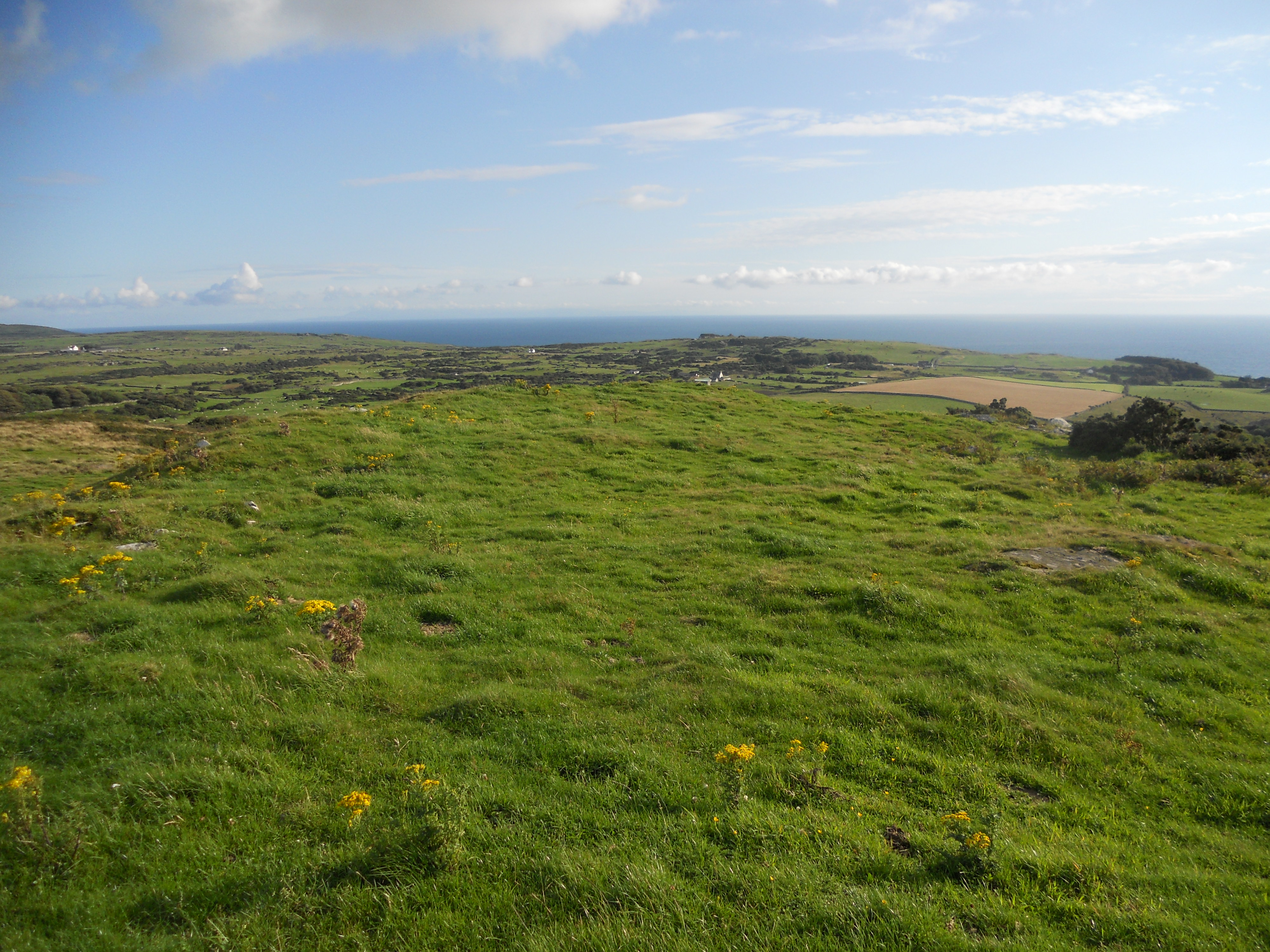 Image of Fell of Barhullion (Hillfort) by markj99