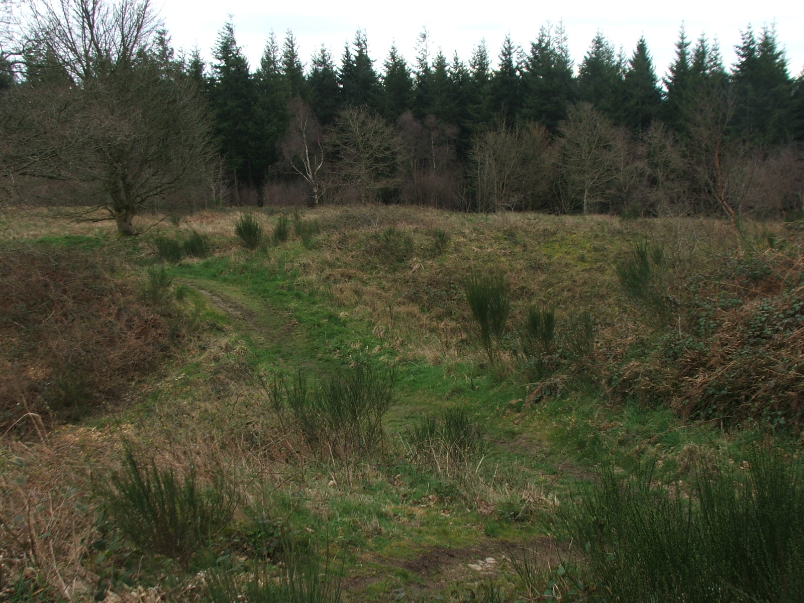 Image of Wapley Hill (Hillfort) by postman