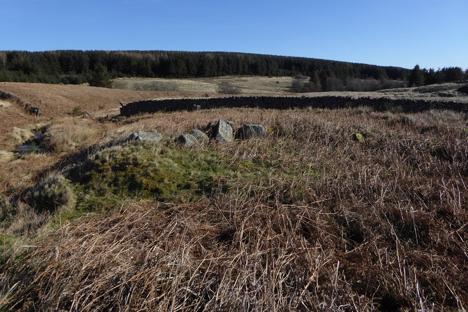 Image of Threestone Burn (Stone Circle) by thesweetcheat