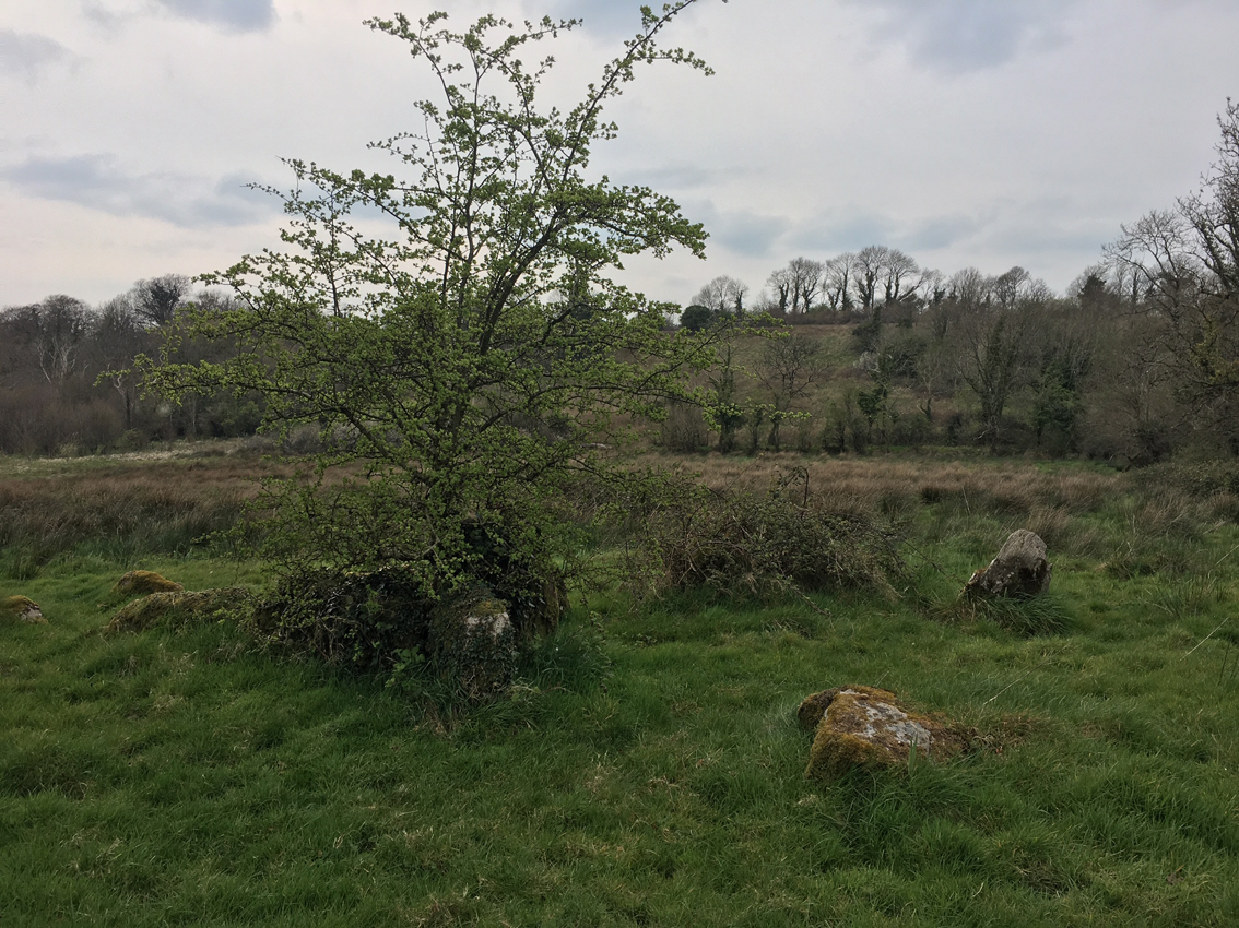 Image of Creenagh (Mohill By.) (Court Tomb) by ryaner