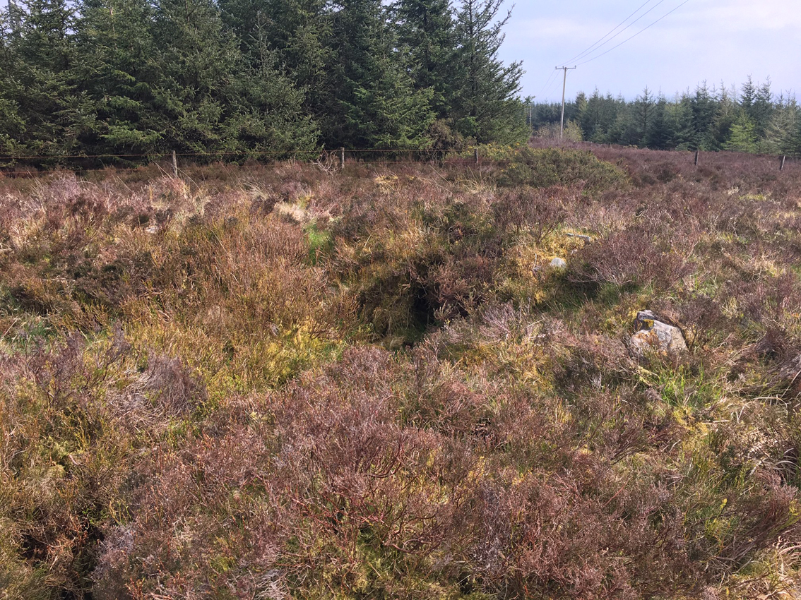 Image of Corn Hill (Cairn(s)) by ryaner