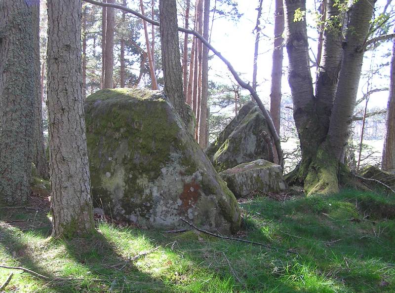 Image of Tarradale (Chambered Cairn) by drewbhoy