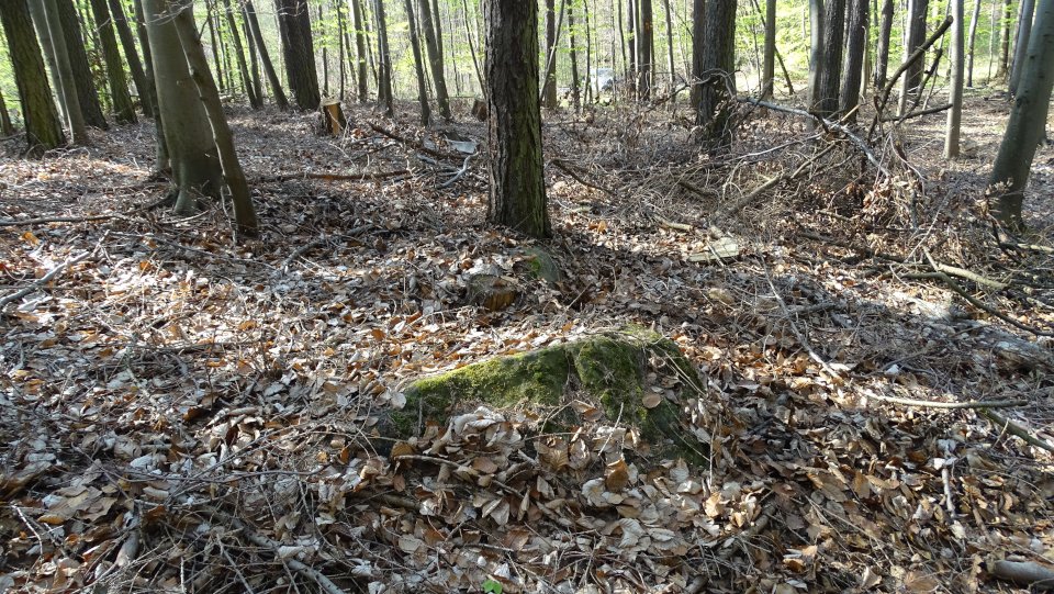 Image of Harbke 1 (Chambered Tomb) by Nucleus