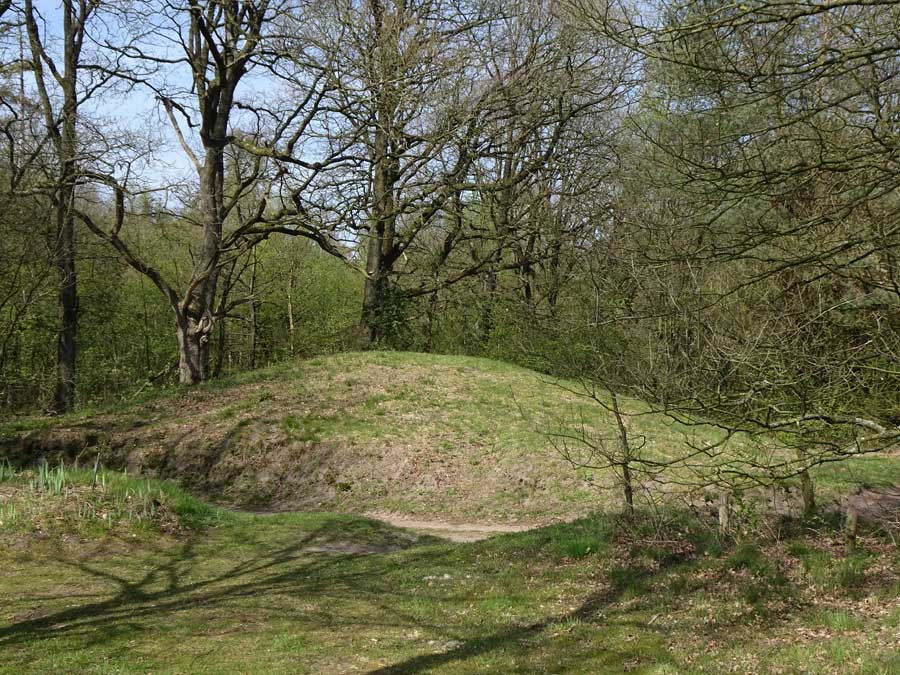 Image of Galgwanderveen (NM 45020 Anloo) (Round Cairn) by LesHamilton