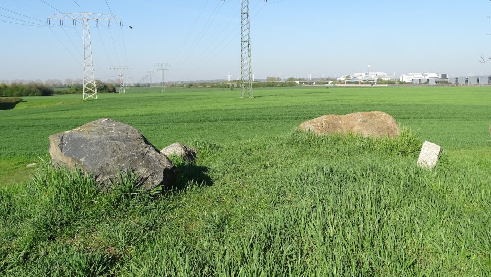 Image of Pfahlberg (Chambered Tomb) by Nucleus