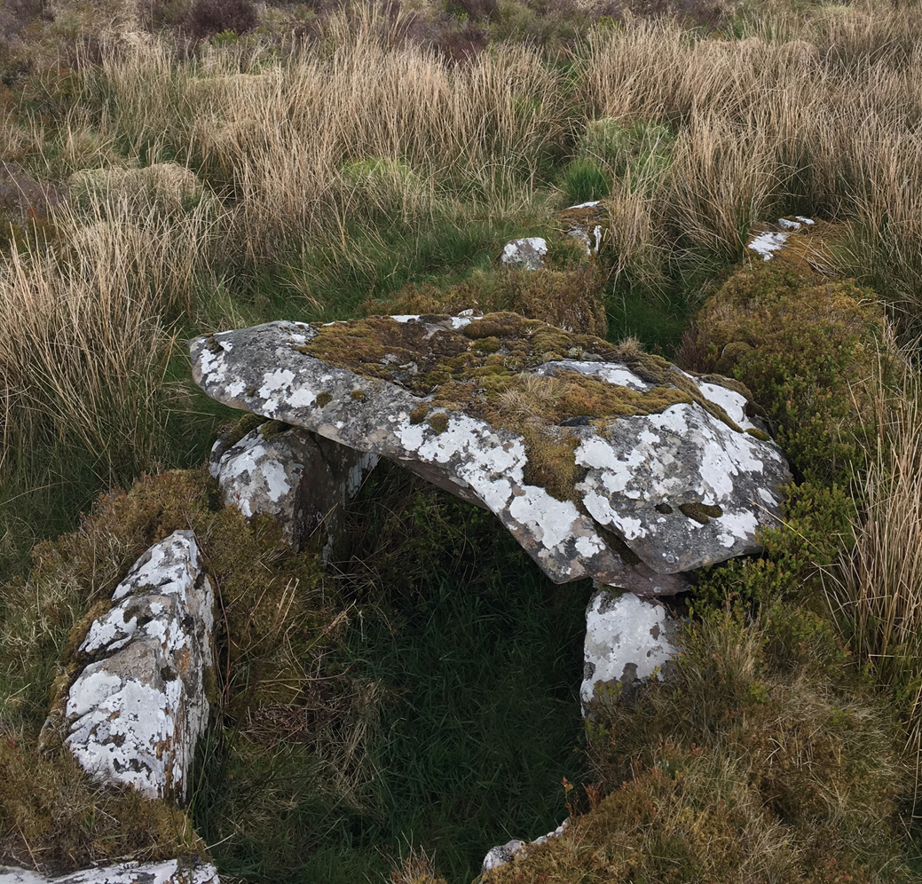 Image of Cureeny Commons (Wedge Tomb) by ryaner