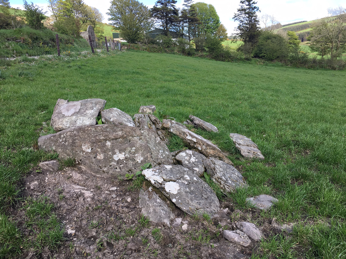 Image of Knockcurraghbola Crowlands (central) (Wedge Tomb) by ryaner