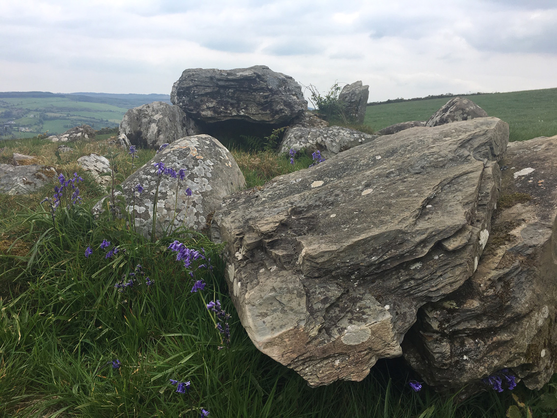 Image of Barbane (Wedge Tomb) by ryaner