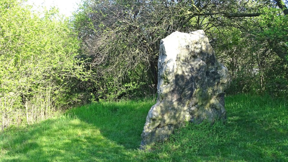 Image of Aschersleben – Speckseite (Standing Stone / Menhir) by Nucleus