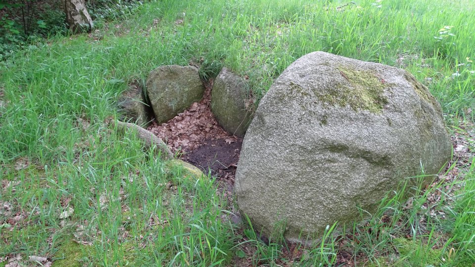 Image of Fehrenbruch (Cist) by Nucleus