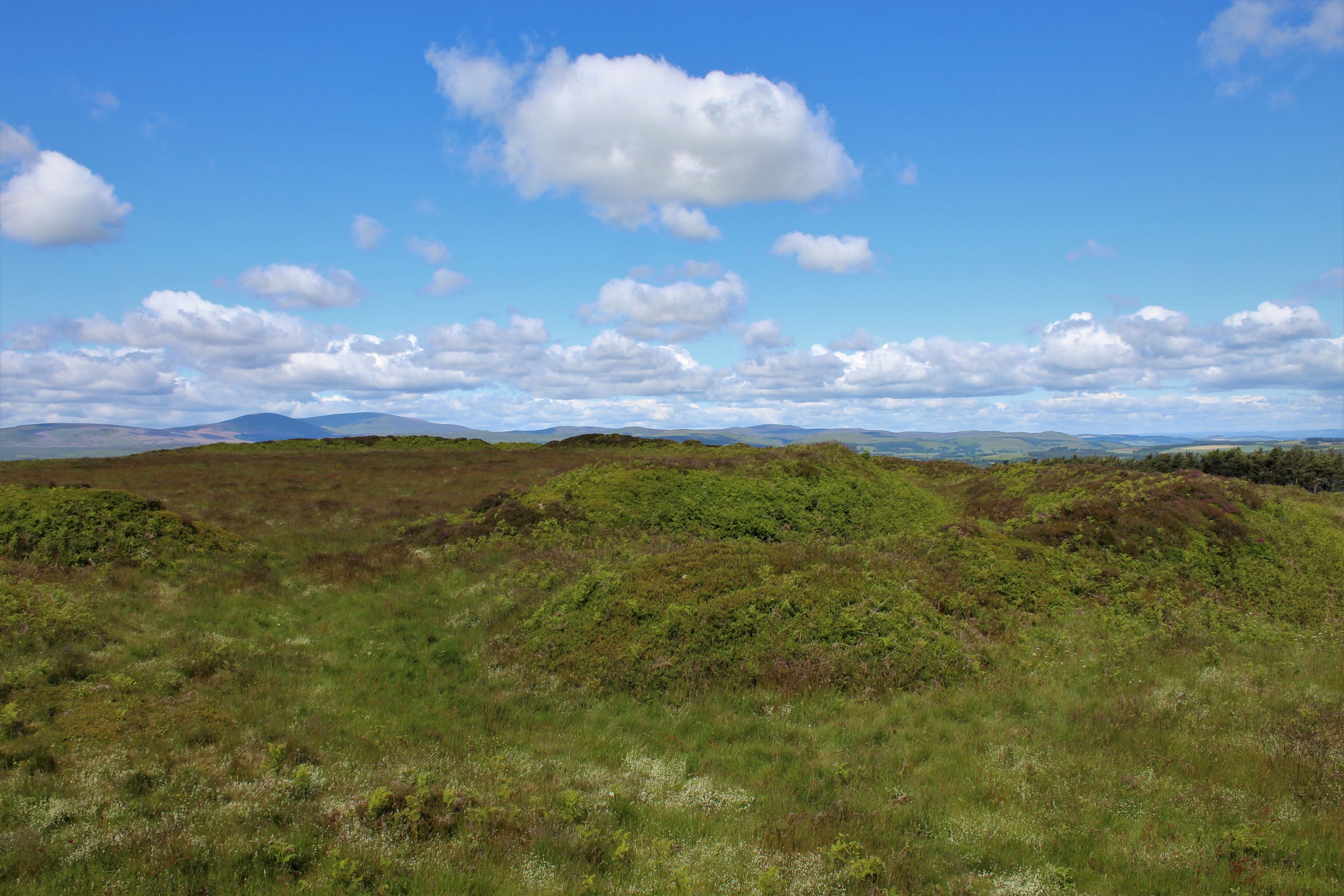 Image of Old Bewick Hillfort by postman