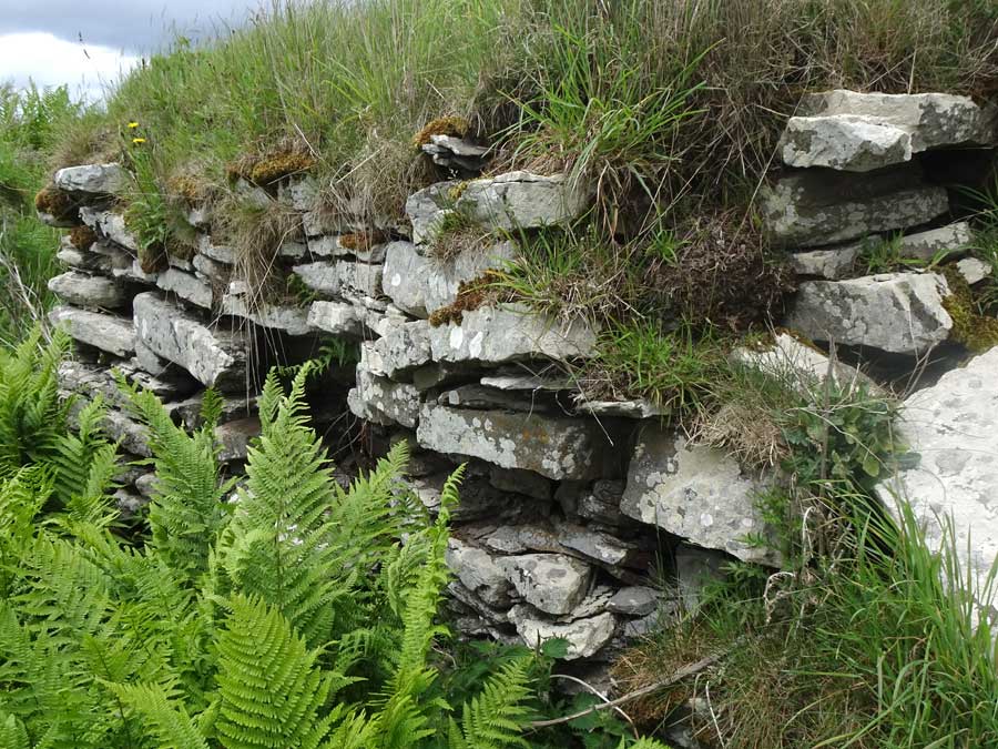 Image of Kirk Tofts (Broch) by LesHamilton