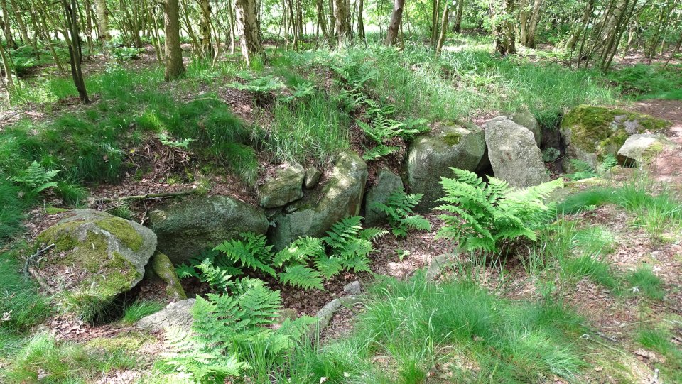 Image of Hammah 2 (Dolmen / Quoit / Cromlech) by Nucleus