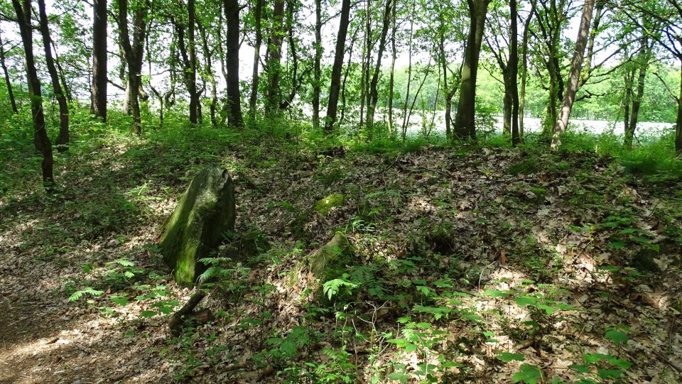 Image of Horneburg 3 (Long Barrow) by Nucleus
