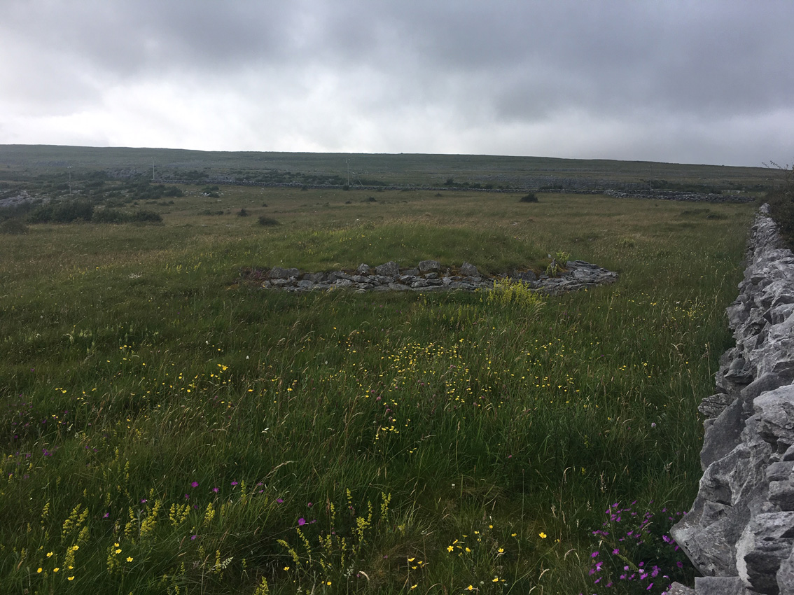 Image of Coolnatullagh (Ring Cairn) by ryaner