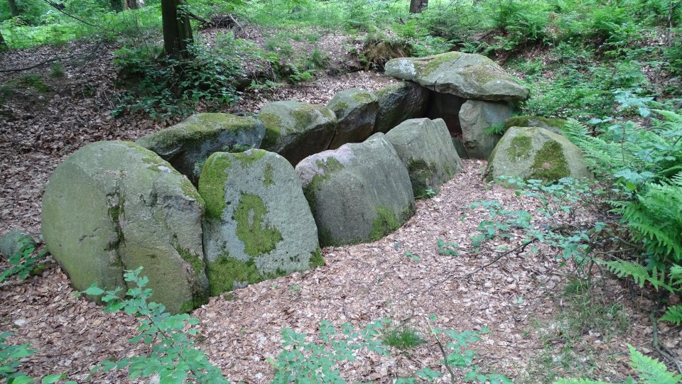 Image of Nenndorf (Passage Grave) by Nucleus